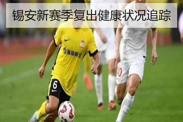 锡安新赛季复出健康状况追踪